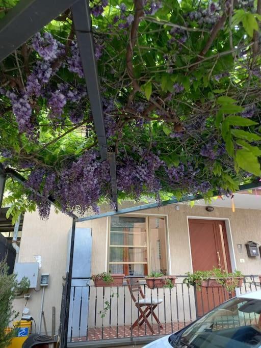 Casa Vacanze Quinci-Valle Quincinetto 外观 照片